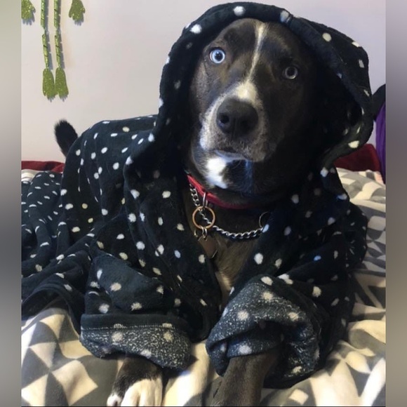 Meet your Posher, Christina - Picture 15 of 16